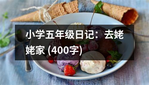 小學(xué)五年級日記：去姥姥家 (400字)