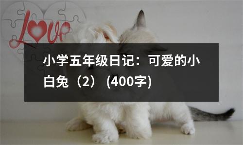 小學(xué)五年級日記：可愛的小白兔（2） (400字)