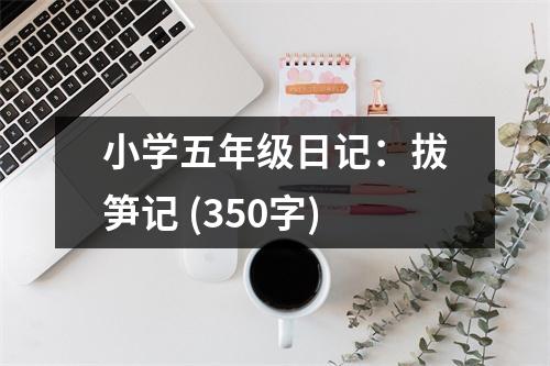 小學(xué)五年級(jí)日記：拔筍記 (350字)