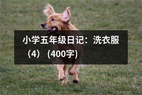 小學(xué)五年級(jí)日記：洗衣服（4） (400字)