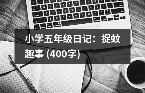 小學(xué)五年級(jí)日記：捉蚊趣事 (400字)