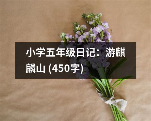 小學(xué)五年級日記：游麒麟山 (450字)
