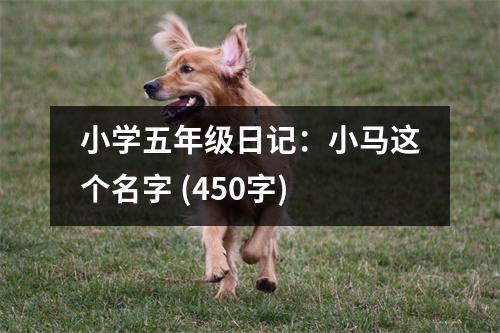 小學(xué)五年級日記：小馬這個(gè)名字 (450字)