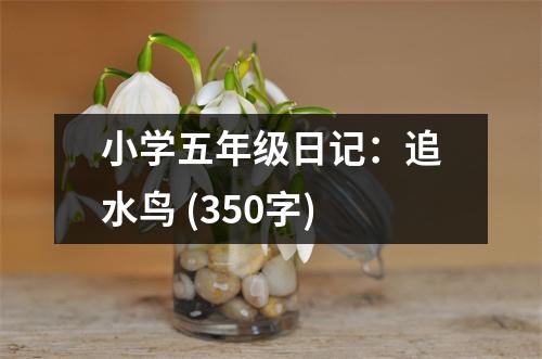 小學(xué)五年級(jí)日記：追水鳥 (350字)