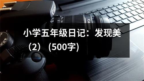 小學五年級日記：發(fā)現(xiàn)美（2） (500字)
