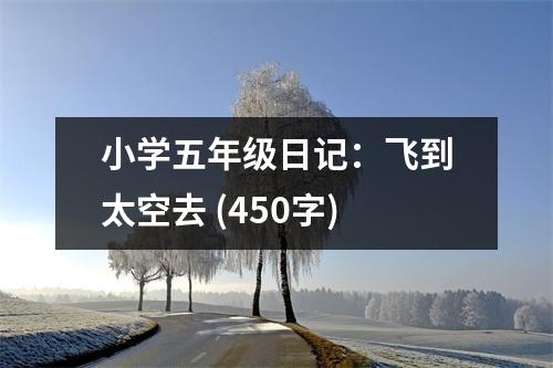 小學(xué)五年級日記：飛到太空去 (450字)