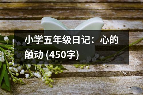 小學(xué)五年級日記：心的觸動 (450字)