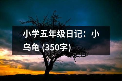 小學(xué)五年級(jí)日記：小烏龜 (350字)