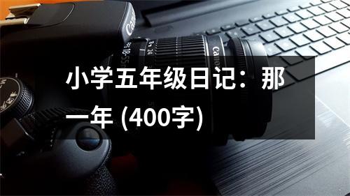 小學(xué)五年級(jí)日記：那一年 (400字)
