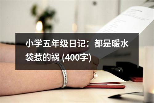 小學(xué)五年級(jí)日記：都是暖水袋惹的禍 (400字)