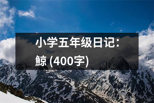 小學(xué)五年級(jí)日記：鯨 (400字)