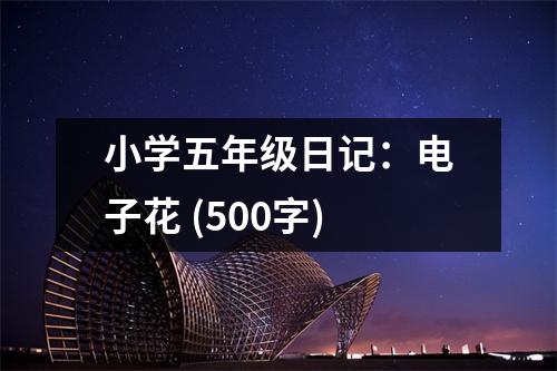 小學(xué)五年級(jí)日記：電子花 (500字)