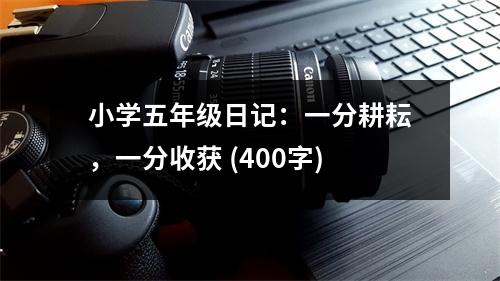 小學五年級日記：一分耕耘，一分收獲 (400字)