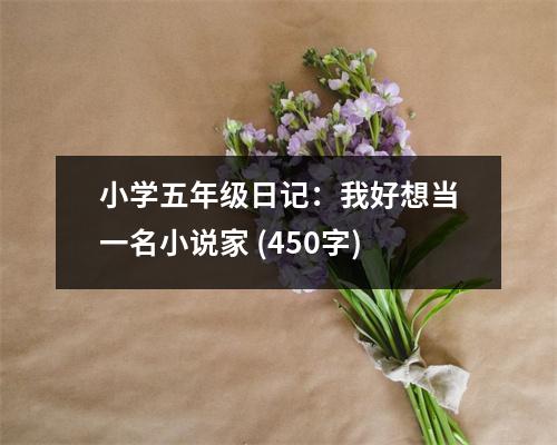 小學(xué)五年級(jí)日記：我好想當(dāng)一名小說(shuō)家 (450字)