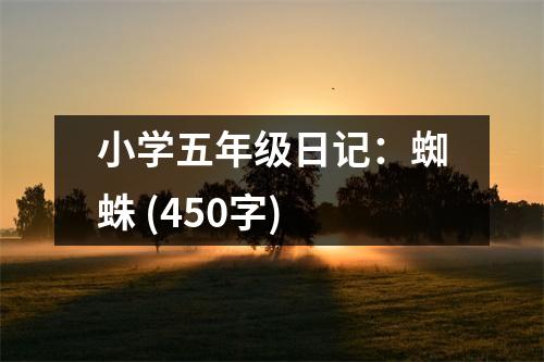 小學(xué)五年級(jí)日記：蜘蛛 (450字)
