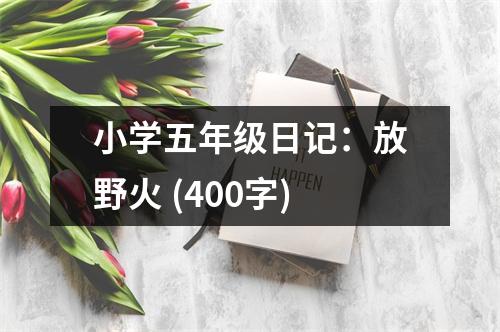 小學五年級日記：放野火 (400字)