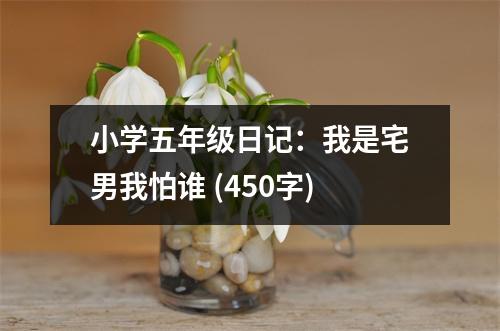 小學(xué)五年級日記：我是宅男我怕誰 (450字)