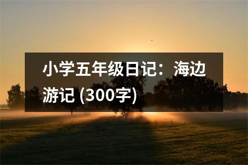 小學(xué)五年級(jí)日記：海邊游記 (300字)