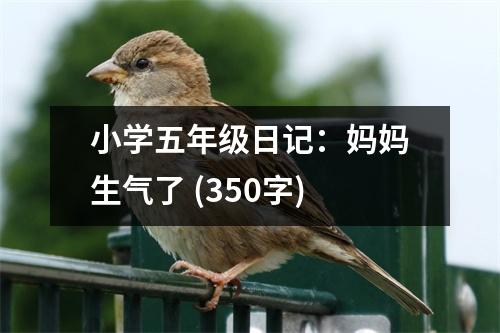 小學(xué)五年級日記：媽媽生氣了 (350字)