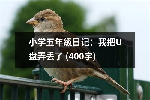 小學(xué)五年級(jí)日記：我把U盤(pán)弄丟了 (400字)
