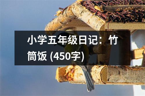 小學(xué)五年級日記：竹筒飯 (450字)