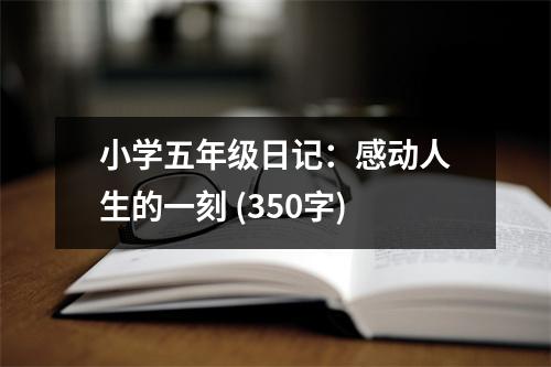 小學(xué)五年級日記：感動人生的一刻 (350字)