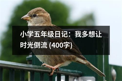 小學(xué)五年級日記：我多想讓時(shí)光倒流 (400字)