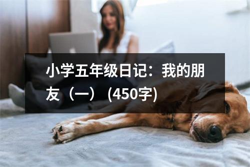 小學(xué)五年級(jí)日記：我的朋友（一） (450字)
