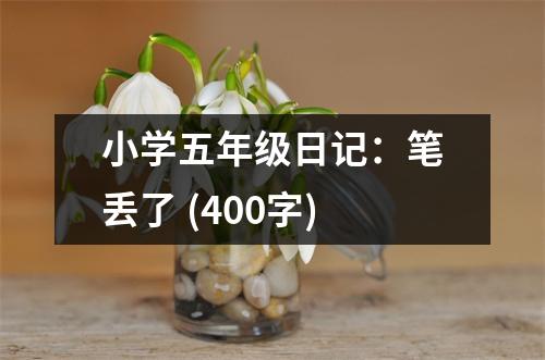 小學(xué)五年級(jí)日記：筆丟了 (400字)