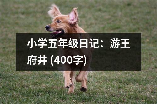 小學(xué)五年級日記：游王府井 (400字)