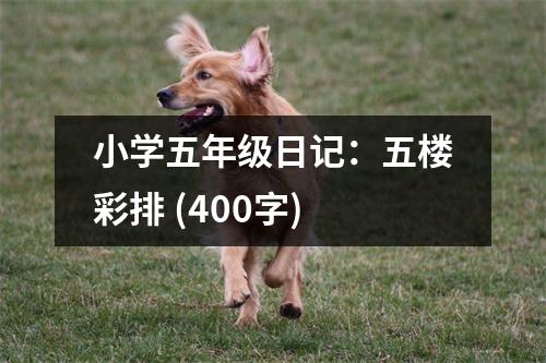 小學(xué)五年級日記：五樓彩排 (400字)