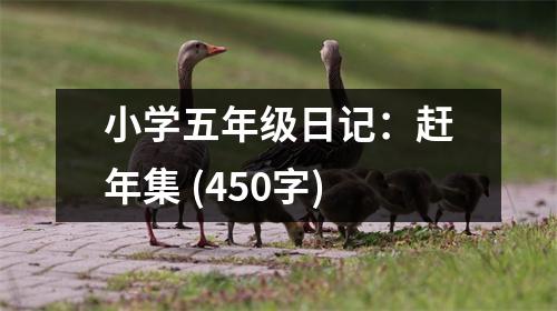 小學(xué)五年級日記：趕年集 (450字)