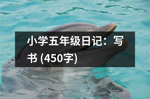 小學五年級日記：寫書 (450字)