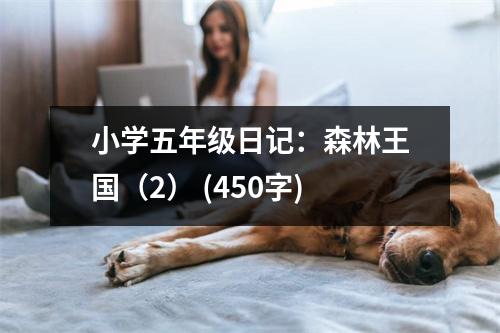 小學(xué)五年級日記：森林王國（2） (450字)