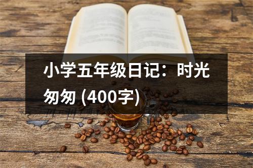 小學(xué)五年級(jí)日記：時(shí)光匆匆 (400字)