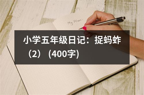 小學(xué)五年級(jí)日記：捉螞蚱（2） (400字)