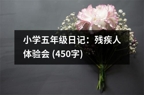 小學(xué)五年級日記：殘疾人體驗會 (450字)