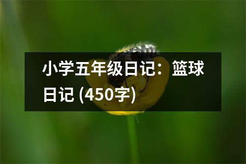 小學(xué)五年級(jí)日記：籃球日記 (450字)
