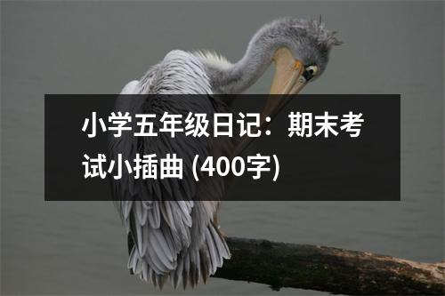 小學(xué)五年級(jí)日記：期末考試小插曲 (400字)