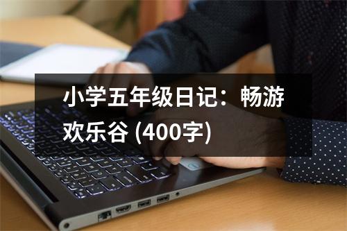 小學(xué)五年級(jí)日記：暢游歡樂谷 (400字)