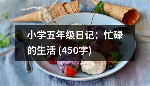 小學(xué)五年級(jí)日記：忙碌的生活 (450字)