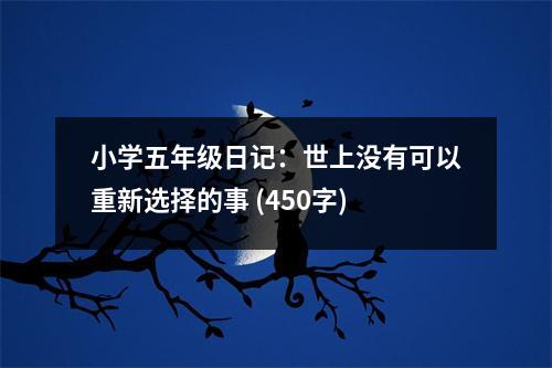 小學五年級日記：世上沒有可以重新選擇的事 (450字)