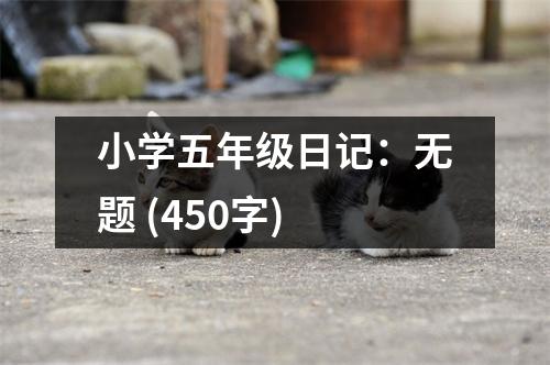 小學(xué)五年級日記：無題 (450字)