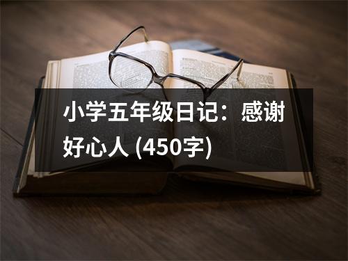 小學(xué)五年級日記：感謝好心人 (450字)