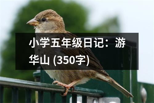 小學(xué)五年級(jí)日記：游華山 (350字)