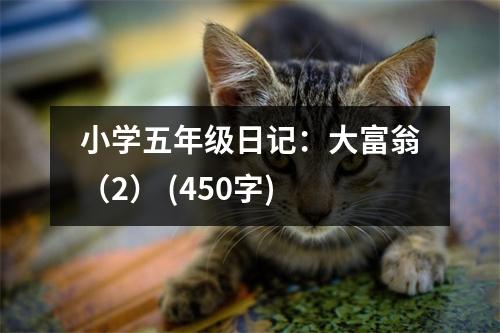 小學(xué)五年級(jí)日記：大富翁（2） (450字)