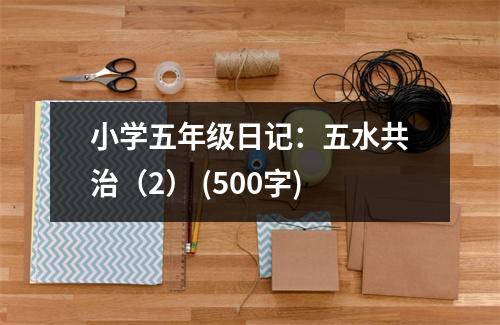 小學(xué)五年級(jí)日記：五水共治（2） (500字)