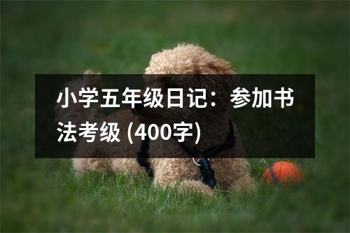 小學(xué)五年級日記：參加書法考級 (400字)