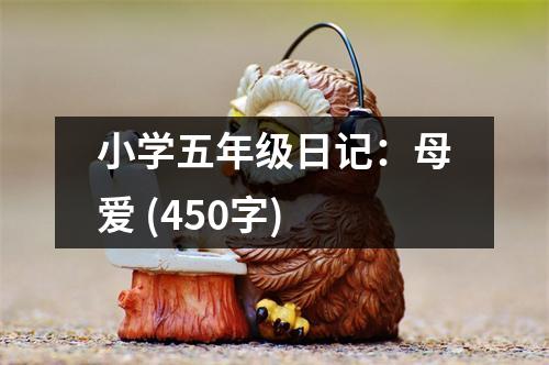小學(xué)五年級(jí)日記：母愛 (450字)