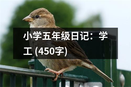 小學(xué)五年級(jí)日記：學(xué)工 (450字)